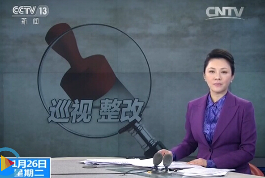 2015年中央第二輪巡視整改·鞍鋼_嚴肅查辦各級領(lǐng)導人員違紀問(wèn)題